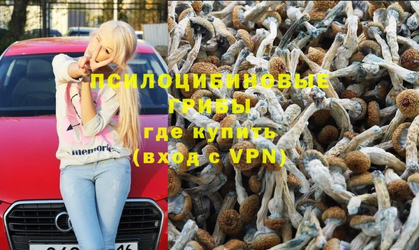 мдпв Алексеевка
