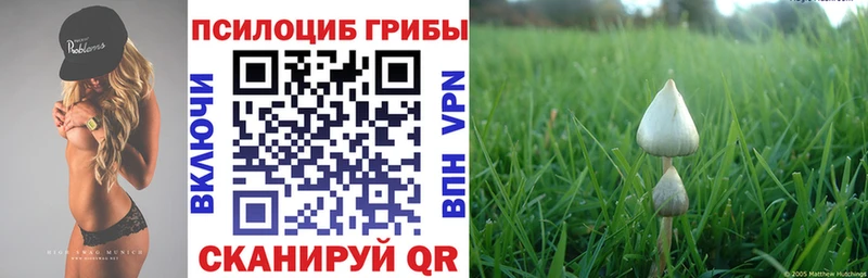 Псилоцибиновые грибы GOLDEN TEACHER Камышин