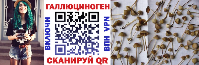 купить  цена  Камышин  Галлюциногенные грибы ЛСД 